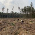 Miško ūkio darbininkai įtraukti į trūkstamų profesijų sąrašą. Kokios galimybės užsidirbti dirbant miške?