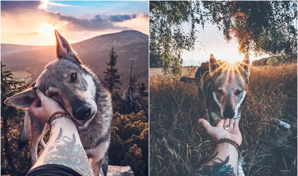 Fotografas, keliaujantis su šunimi