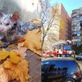 Neįtikėtinas Vilniaus ugniagesių jautrumas: vyrai gaivino iš liepsnų išgelbėtą katinėlį!
