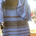 Internetas „sprogsta“ nuo diskusijų apie šią suknelę: kokios ji spalvos?