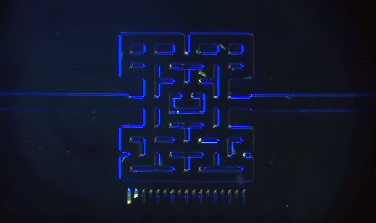 Mikroorganizmų Pac-Man 