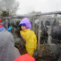 Lietuvos policininkai dirbantys su migrantais: reikia suvaldyti minią