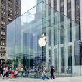 „Apple“ sugrįžta į patraukliausių JAV darbdavių sąrašą – kitos technologijų kompanijos atsilieka