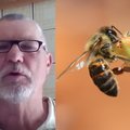 Algirdas Amšiejus: pasaulyje ūkininkai už bičių paslaugas jau moka nemažus pinigus