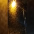 Atkreipė vilniečių dėmesį – sostinėje naktį skraido spiečiai vabzdžių