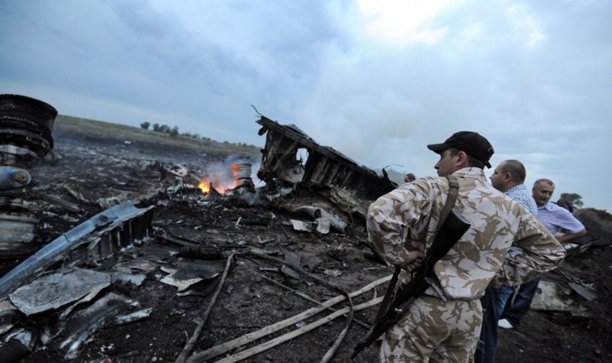 Ukrainoje nukrito Malaizijos oro linijų lėktuvą