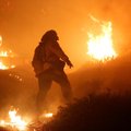 Kalifornijoje gaisrų aukų padaugėjo iki 59, dar 130 žmonių ieškoma