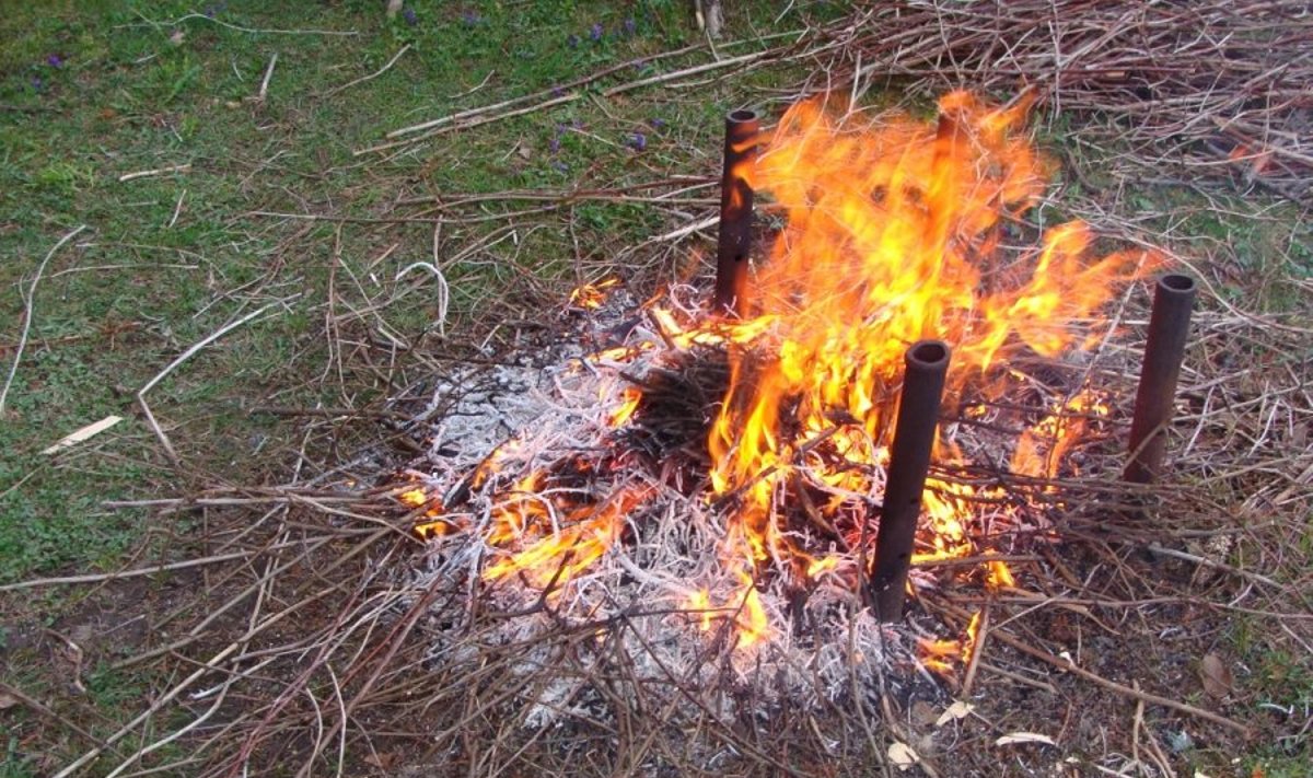 Privačioje valdoje deginamos daržininkstės atliekos