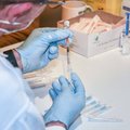 PSO: vakcinos nuo koronaviruso Europoje išgelbėjo daugiau kaip milijoną gyvybių