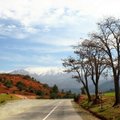 1000 km spalvotais Maroko kalnais - kelias į Sacharos dykumą