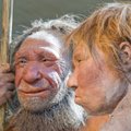 Mokslininkai: neandertaliečių nosys buvo geresnės