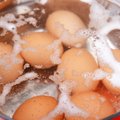 Kaip išsirinkti geriausius kiaušinius