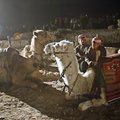 Бедуины поддержали египетскую военную операцию на Синае