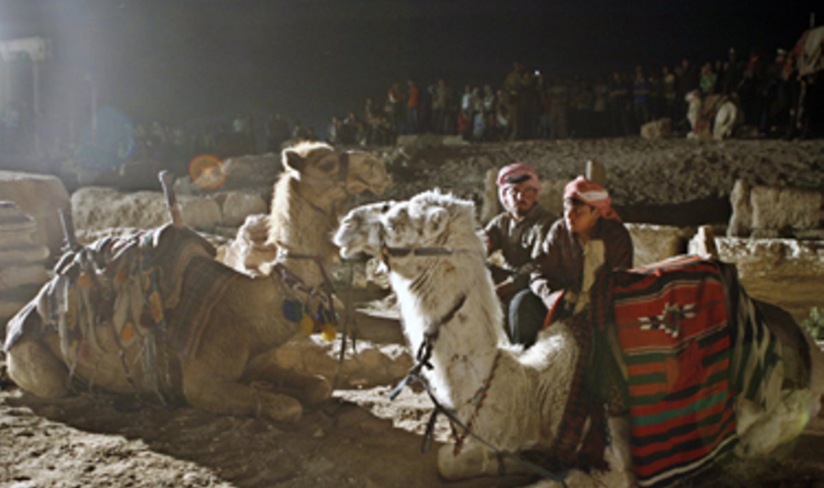 Sirijos beduinai ir jų kupranugariai ilsisi.