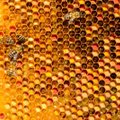 Vitaminų ir mineralų lobynas: bičių produktas stiprina organizmą ir padeda kovoti su ligomis