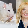 Astrologės Lolitos Žukienės patarimai, kad Baltosios Žiurkės metai būtų sėkmingi