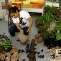 Tailandietė 33 dienas gyveno stiklinėje dėžėje su skorpionais