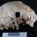 Portugalijoje rasta 400 tūkst. metų senumo kaukolė rodo egzistavus paslaptingus žmones