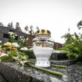 Vilniuje vienoje kapo duobėje palaidotos 62 urnos su palaikais