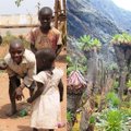 Nepažinta Uganda – pasakiško grožio ir slegiančio skurdo šalis