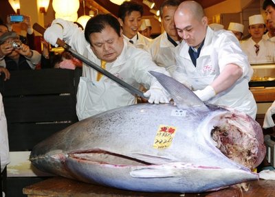 Tokios didelių rūšių žuvys kaip tunas, net ir skambant aplinkosaugininkų įspėjimams yra gaudomos ir masiškai valgomos