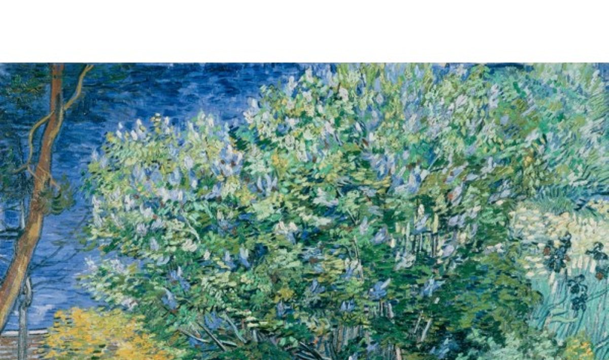 V. Van Gogho paveikslas „Alyvmedis“