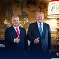 Po NATO viršūnių susitikimo Orbanas išskubėjo pas Trumpą