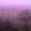 Neįtikėtinas vaizdas pro langą: miestą apgaubė violetinis rūkas