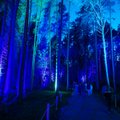 В Вильнюсе будут действовать два парка Lumina - один в центре города