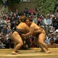 Šventykloje rungėsi geriausi Japonijos sumo imtynininkai