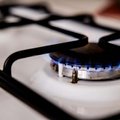 Ekspertai: smukusios dujų kainos dar labiau kristi neturėtų