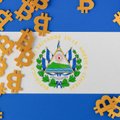 Salvadoro bitkoinų eksperimentas: prarado 60 milijonų dolerių, išleisti pinigai kol kas nieko nepasiekė