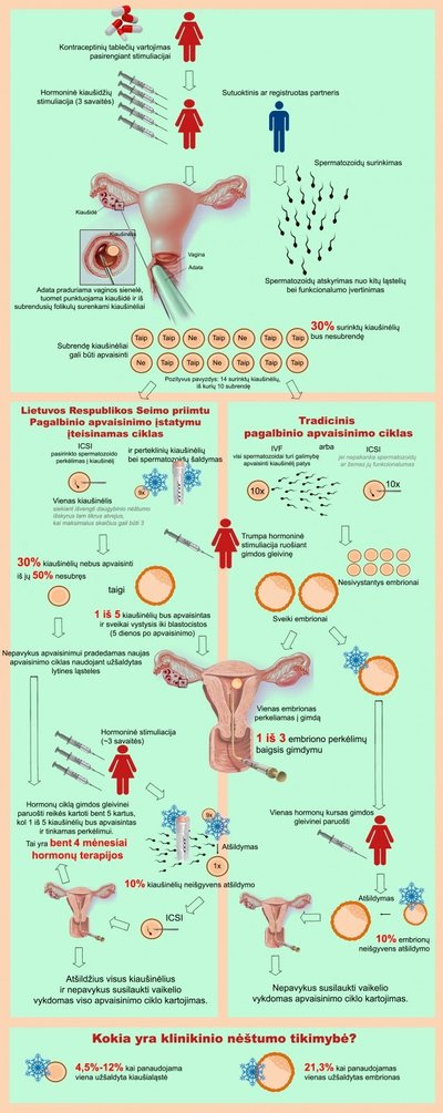 Infografikas dėl pagalbinio apvaisinimo