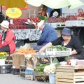 „Lidl“ pakoregavo daržovių kainas