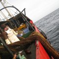 Europos Komisija sumažino žvejybos kvotas