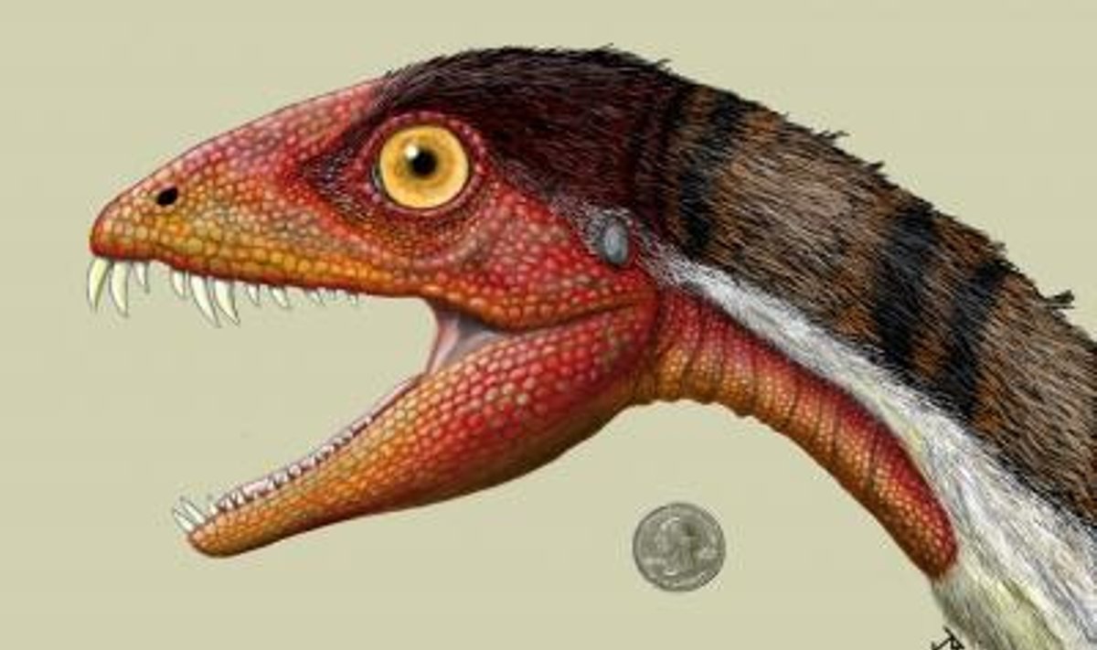 Daemonosaurus chauliodus, sciencedaily.com nuotr.