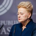 Grybauskaitė – apie artėjantį NATO viršūnių susitikimą: tai bus didelė klaida