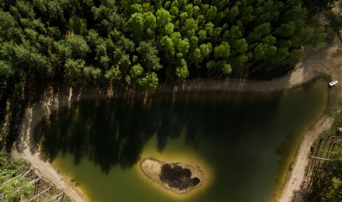 Karolio Janulio darbai: ežeras Lietuvoje