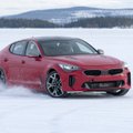 „Kia Stinger“ modeliui – ekstremalus žiemos testas