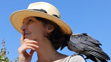Neįtikėtina Vijos ir jos augintinio varniuko istorija – paukščio charakteriui ir gebėjimams nėra lygių