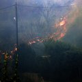 В Греции лесной пожар добрался до склада боеприпасов на авиабазе