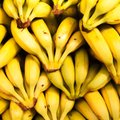 Neįtikėtinas būdas panaudoti banano žievę