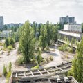 Černobylis virsta tikromis džiunglėmis: kodėl augalų neišnaikino baisi radiacija?