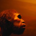 Mokslininkai nustatė, kas galutinai pražudė Homo erectus