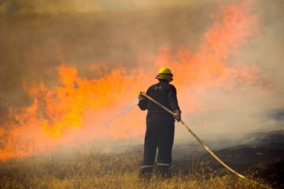 Miškų gaisrų prevencijai išleido milijonus