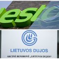 Merger of Lithuania's electricity grid operator and gas company goes ahead