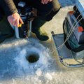Netradiciniai masalai, kurie gali išgelbėti dieną ant ledo