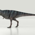 Nyderlandų mokslininkai išsiaiškino, kad žmogus nesunkiai pavytų tiranozaurą