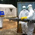 Ebolos virusui sutramdyti – naujo tipo ligoninės