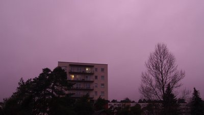 Violetinis dangus Vilniuje. L. Mickutės nuotr.